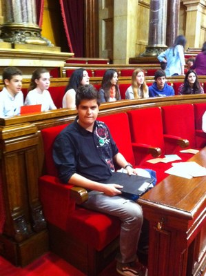 Col.legi La Salle - Fem una llei 2012