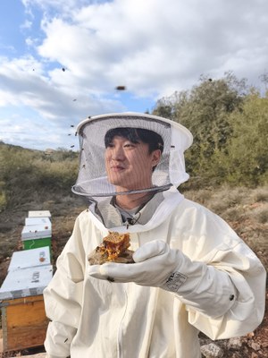 Tast de mel d'un dels integrants de l'equip de gravació de la televisió coreana (Foto: Apiferro)