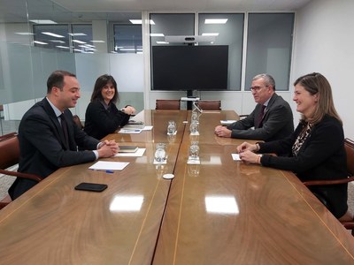 Reunió de la síndica d'Aran amb el secretari d'estat de Política Territorial (Foto: CGA)