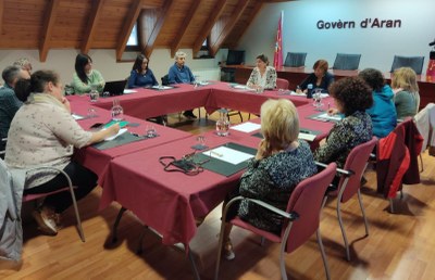 Constitució de la Taula d'Ensenyament de la Val d'Aran (Foto: CGA)