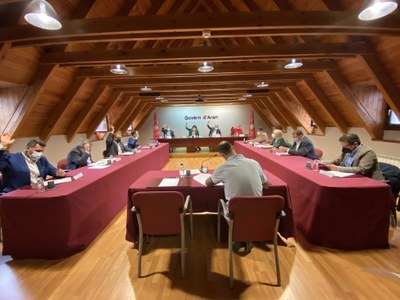 Ple del Conselh Generau d'Aran (CGA)
