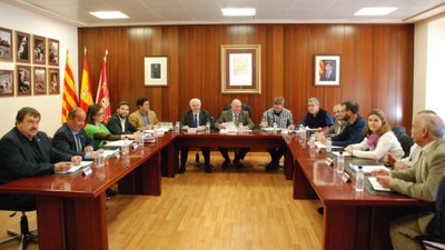 Ple del Conselh Generau d'Aran