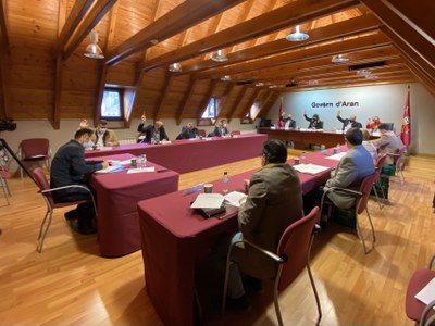 Ple del Conselh Generau d'Aran (Foto: CGA)