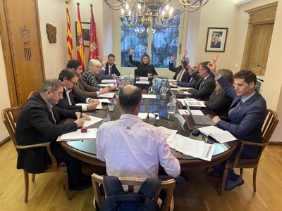 Votació dels pressupostos al ple del Conselh Generau d'Aran (Foto: ACN)
