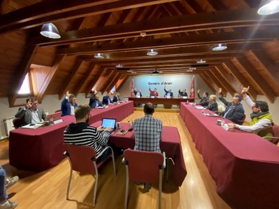 Ple del Conselh Generau d'Aran (Foto: CGA)
