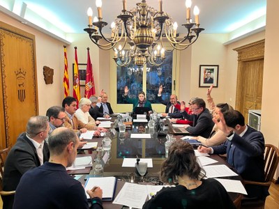 Ple del Conselh Generau d'Aran (Foto: CGA)