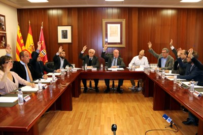 Ple del Conselh Generau d'Aran (Foto: ACN)