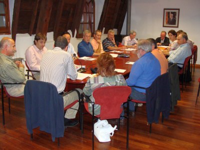 Consell Comarcal - 2009