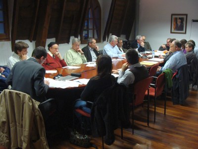 Consell Comarcal 04.2009