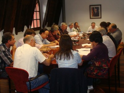 Ple Consell Comarcal 2010