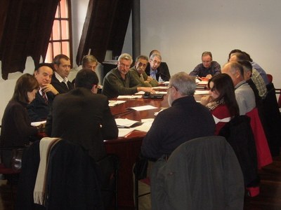 Ple del Consell Comarcal