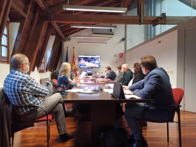 Ple del Consell Comarcal de l'Alt Urgell - Octubre 2020