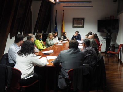 Ple del Consell Comarcal de l'Alt Urgell