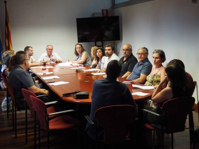Ple del Consell Comarcal de l'Alt Urgell