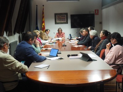 Ple del Consell Comarcal de l'Alt Urgell - Febrer 2023