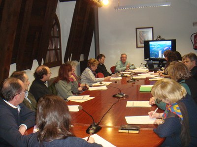 Consell Comarcal Alt Urgell - Ple 02.2014