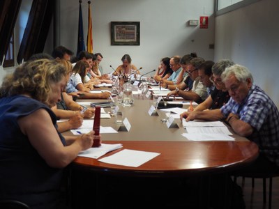 Ple del Consell Comarcal de l'Alt Urgell - Agost 2023
