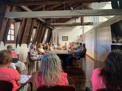 Ple del Consell Comarcal de l'Alt Urgell, amb la presència de treballadores del SAD