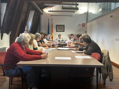 Ple del Consell Comarcal de l'Alt Urgell - Octubre 2024 (Foto: RàdioSeu)