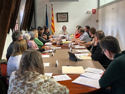 Ple del Consell Comarcal de l'Alt Urgell - Abril 2024 (Foto: RàdioSeu)