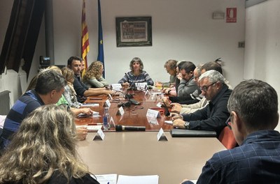 Ple extraordinari del Consell Comarcal de l'Alt Urgell (Foto: RàdioSeu)