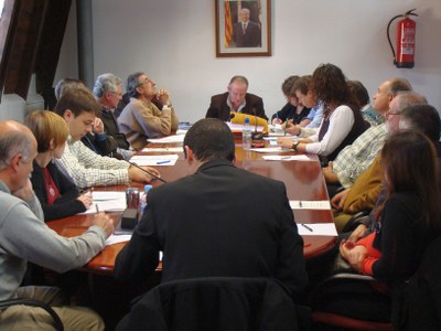 Ple Consell Comarcal - Desembre 08