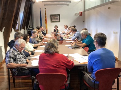 Ple del Consell Comarcal de l'Alt Urgell (Foto: RàdioSeu)