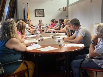 Ple del Consell Comarcal de l'Alt Urgell - Setembre 2023