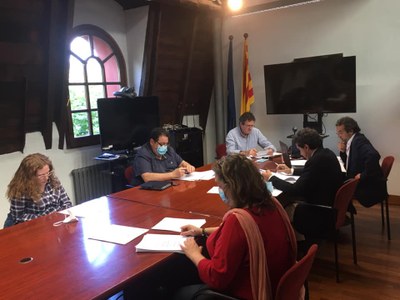 Ple del Consell Comarcal de l'Alt Urgell