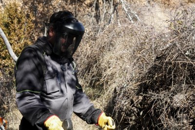 Neteja forestal a Argestues