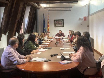Últim ple ordinari del Consell Comarcal de l'Alt Urgell a la legislatura 2019-2023