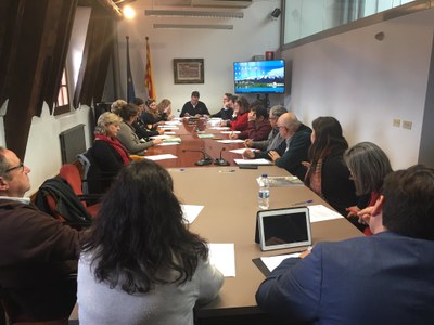 Ple del Consell Comarcal de l'Alt Urgell (Arxiu)