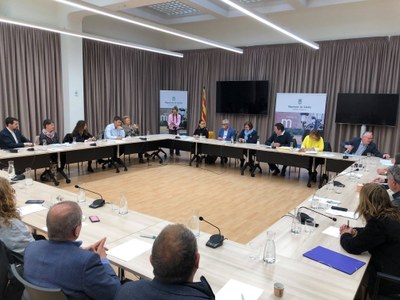 Consell d'Alcaldes de l'Alt Urgell - Març 2019