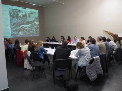 Consell d'Alcaldes de l'Alt Urgell