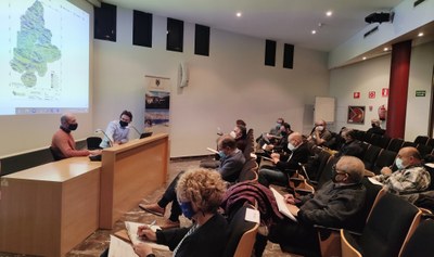 Consell d'Alcaldes del Pallars Jussà del 27 d'abril del 2021 (Foto: ACN)