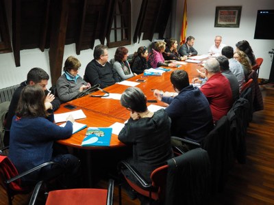 Ple del Consell Comarcal de l'Alt Urgell