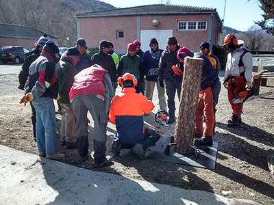 Programa Treball i Formació