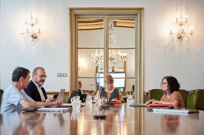 Sessió plenària anual del Consell Nacional d'Arxius, presidit per Natàlia Garriga (Foto: Departament de Cultura)