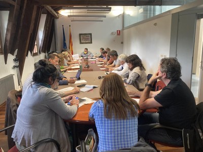 Últim ple del Consell Comarcal de l'Alt Urgell a la legislatura 2019-2023