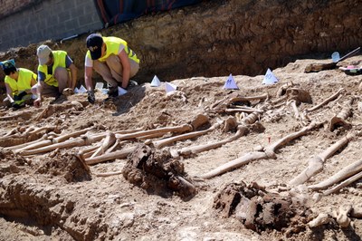 Localització de restes de soldats de la Guerra Civil al cementiri de Figuerola d'Orcau, l'any 2017 (Foto: ACN)