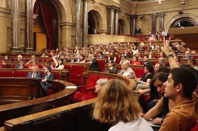 Ple del Parlament de Catalunya, aquest dijous (Foto: ACN)