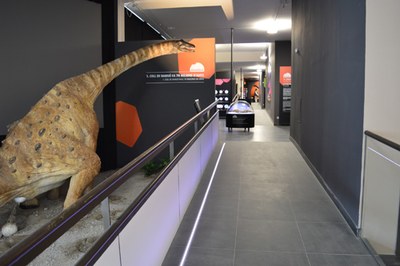 Dinosfera de Coll de Nargó
