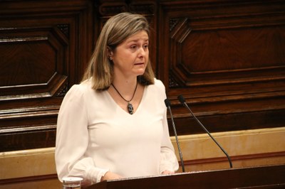 Intervenció al Parlament de Catalunya de la síndica d'Aran, Maria Vergés (Foto: ACN/Francesc Voltas)