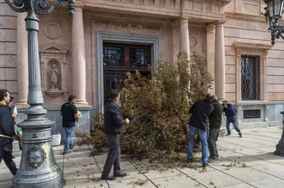 Protesta davant la subdelegació del Govern espanyol a Lleida contra la prohibició de cremar restes vegetals (Foto: Javi Martín / UP) 