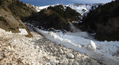Campanya hivernal de difusió de la predicció d'allaus (Foto: Gencat)