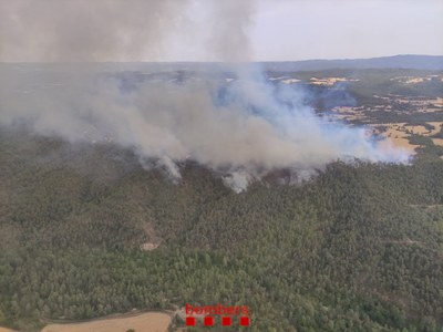 Incendi a Altés, al municipi de Bassella, aquest dissabte passat (Foto: Bombers)
