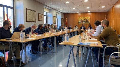 Consell d'Alcaldes de Cerdanya