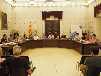 Ple de l'Ajuntament de la Seu d'Urgell