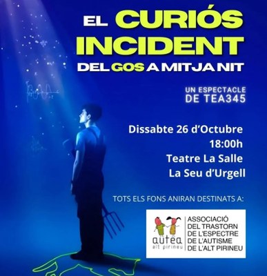 Teatre 'El curiós incident del gos a mitjanit'