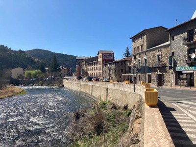 Martinet (Foto: @jicervera)